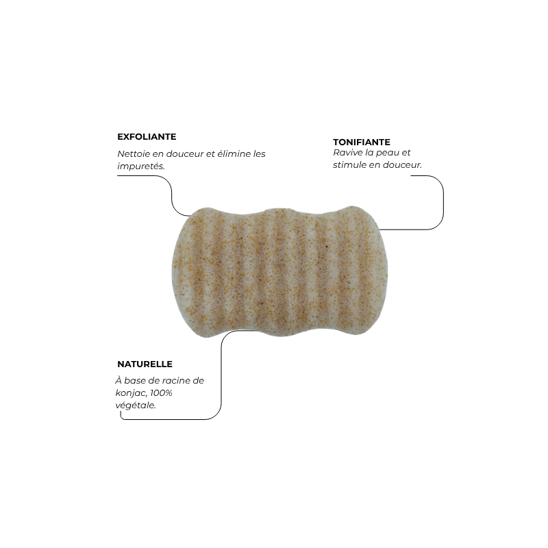 Eponge Konjac Corps - Coques de noix
