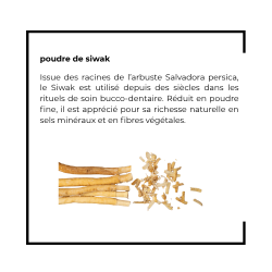 Dentifrice en poudre - Menthe bio & Siwak - 35 gr